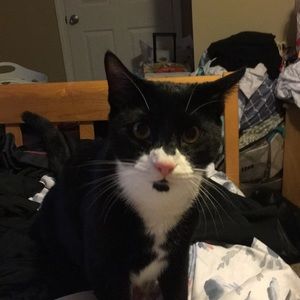 Meet your Posher, Kathy